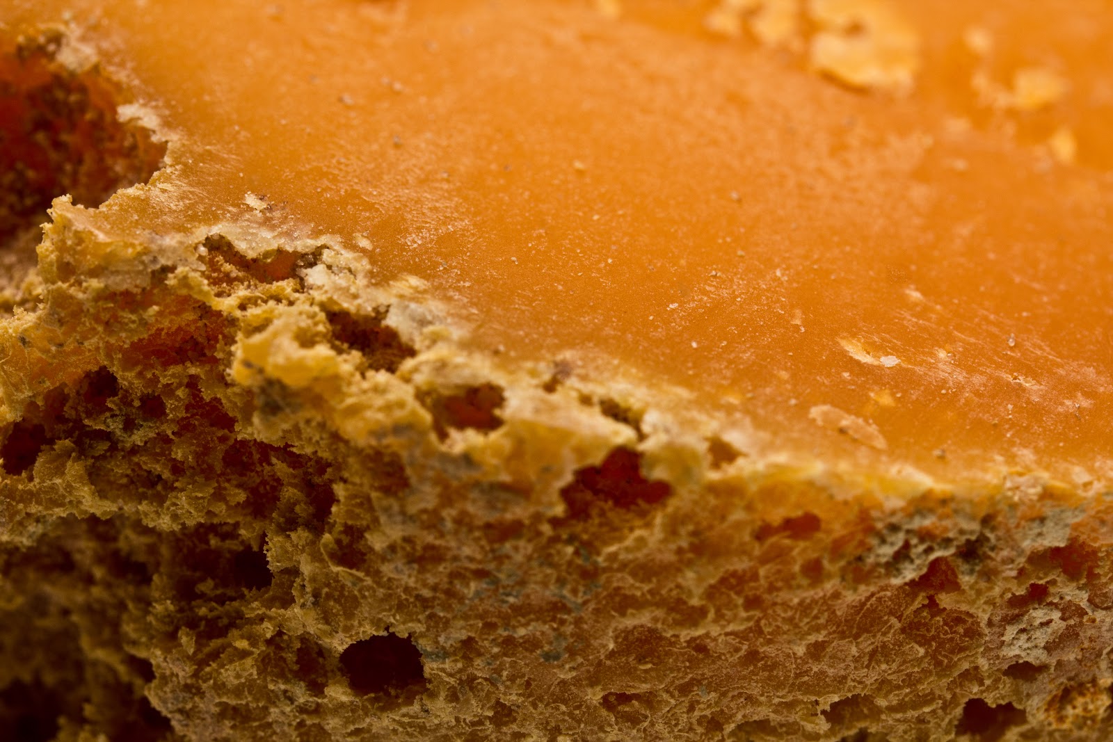 Mimolette – Juusto, joka syntyi kiusalla (ja kauppasodan liepeillä)
