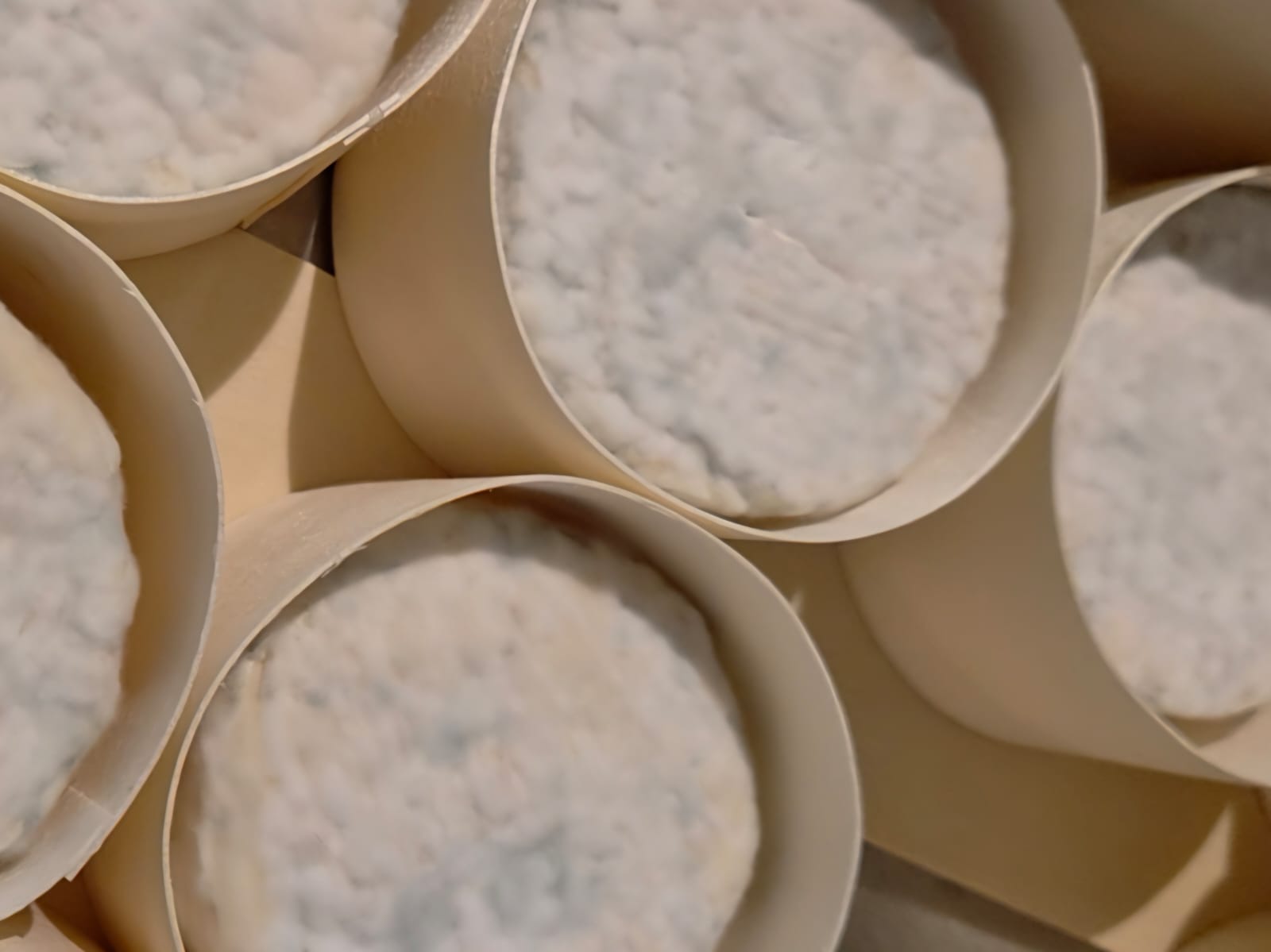 white cheese with blue mold