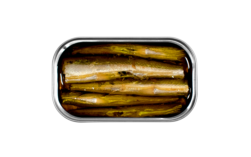 José Gourmet neulakala säilyke ekstra-neitsytoliiviöljyssä, premium kalasäilyke Portugalista – garfish in extra virgin olive oil, Portuguese tinned fish